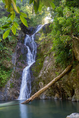 waterfall in the Jungle