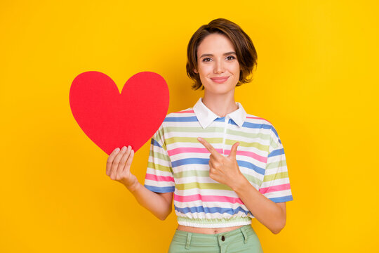 Photo of funny millennial brunette lady point heart wear white t-shirt isolated on yellow color background