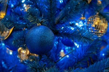 Shiny dark blue Christmas ball on the Christmas tree.