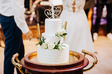 Bride and Groom at Wedding Reception Cutting the Wedding Cake