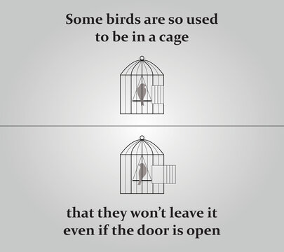 Some birds are so used to be in cage that they won't leave it even if the door is open