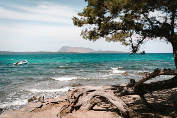 Fototapeta na wymiar beautiful view of the sea on the east coast of Sardinia in Italy Europe