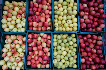 Shallow depth of field (selective focus) image with organic fresh apples for sale in an outdoors market in Bucharest, Romania.