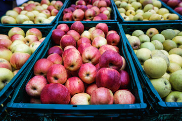 Shallow depth of field (selective focus) image with organic fresh apples for sale in an outdoors market in Bucharest, Romania.