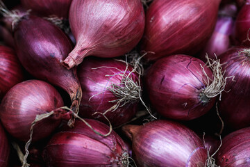 Shallow depth of field (selective focus) image with organic fresh red onions for sale in an...