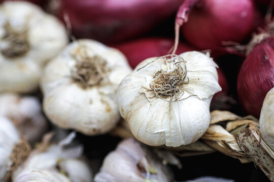 Shallow depth of field (selective focus) image with organic fresh garlic for sale in an outdoors market in Bucharest, Romania.