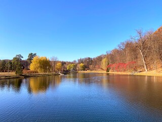 beautiful autumn park by lake at sunny day. Idyllic autumn landscape by tranquil pond. Willows, fir trees, deciduous trees with colorful bright foliage. Red, orange, green, yellow colors.