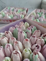 Obraz premium tulips, box 