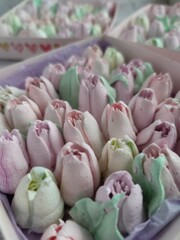 Fototapeta premium tulips, box 