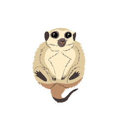 Flat illustration of cute meerkat isolated on whte background