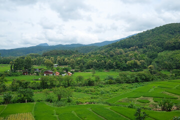 big mountain view, The tropical green rice fields are under a cloudy blue sky and there is a small village in the middle background.