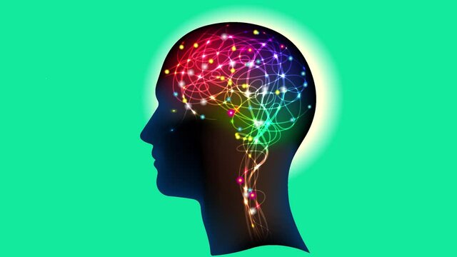 Neural connections in the brain