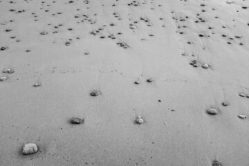 Background of sand sea beach with stones, closeup. Beautiful sand beach for poster, calendar, post, screensaver, wallpaper, postcard, card, banner, cover, header for website. Brown tones colors