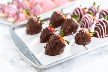 Chocolate dipped strawberries