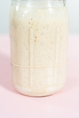 Sourdough starter