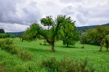 Fototapeta na wymiar Bieszczady Mountains, beautiful natural landscape on a summer afternoon in the rain. 