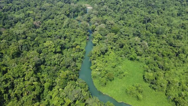 Selva Lacandona