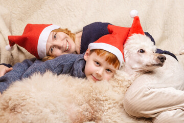 Obraz premium Mom, son and dog in New Year's hats are smiling during the Christmas holidays. Happy family having fun.