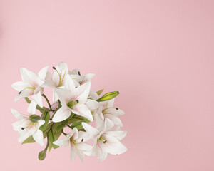 White bouquet of flowers on pastel pink background with empty space. Flat lay. Nature background.
