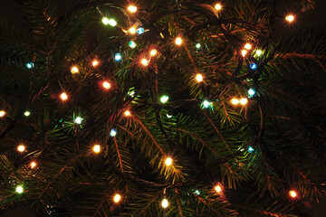Fototapeta na wymiar Lights garland on Christmas fir tree in night. Christmas holidays background