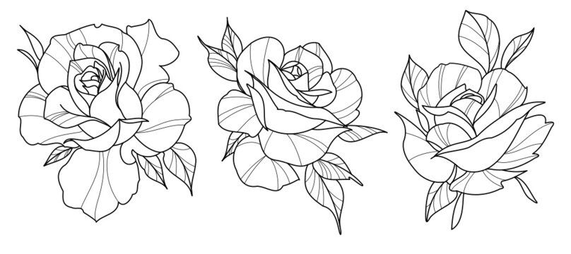 Illustration material set of rose bouquet line... - Stock Illustration  [83590547] - PIXTA