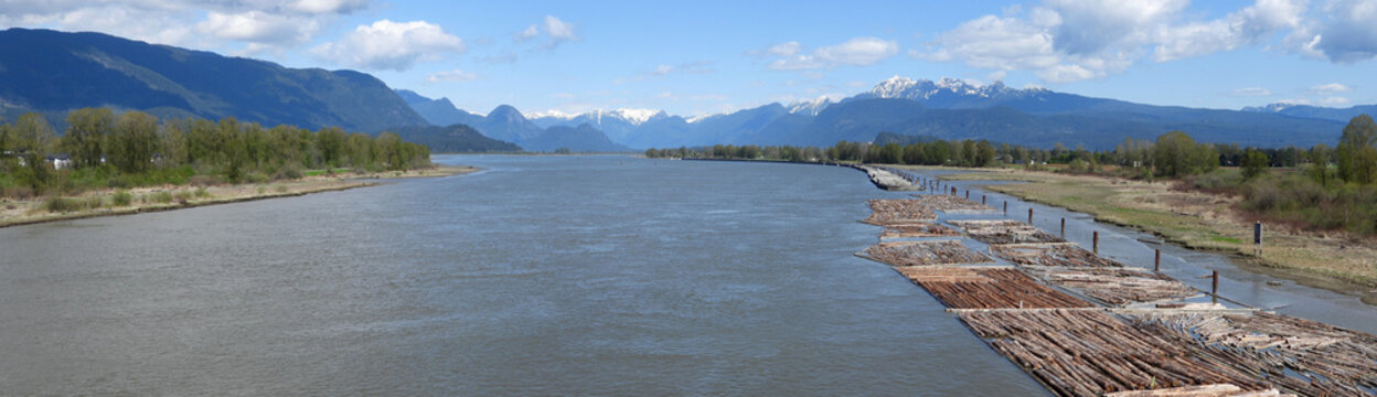 Pitt River And Rafts Of Logged Trees