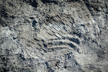 Ashes and burnt coals after a fire. Extinguished and cooled wood fire. Background from fireless coals and ash texture.