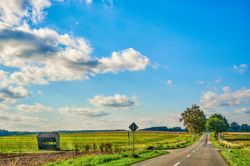 Fototapeta premium Sunny landscape with blue sky and clouds in Germany, through which a tree-lined country road leads.