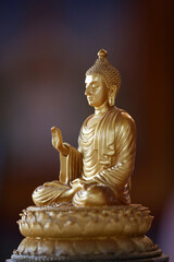 Faith and spirituality. Buddhism.