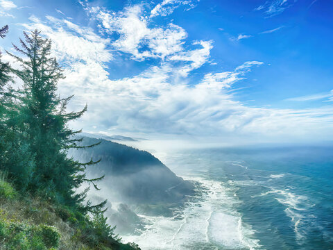Misty forests and Pacific Ocean