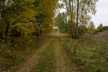 landscape on a cloudy autumn day