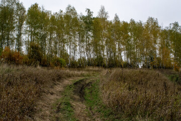 landscape on a cloudy autumn day