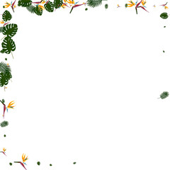 Orange Plant Background White Vector. Leaves Resort Texture. Yellow Philodendron. Garden Pattern. Light Green Vacation Design.