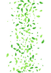 Greenish Foliage Background White Vector. Vegetation Twig Design. Eco Card. Green Light Illustration. Greenery Symbol.