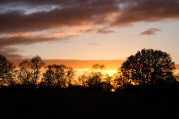 Fototapeta na wymiar Winter sunset sky with trees in silhouette