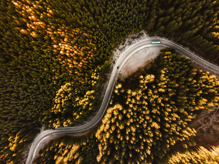Aerial view of a road in the middle of the forest