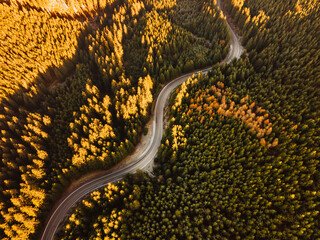 Aerial view of a road in the middle of the forest