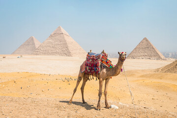 landscape of giza plateau with pyramids at background