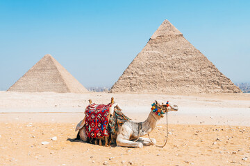landscape of giza plateau with pyramids at background