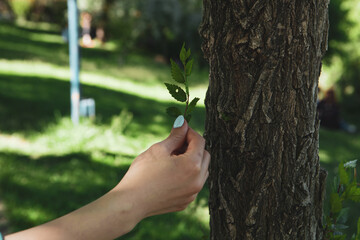 a woman tears a small branch from a tree