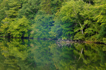 Cumberland Mountain State Park in Tennessee, USA