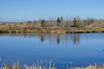 Pylypow Wetlands on a Clear Autumn Day