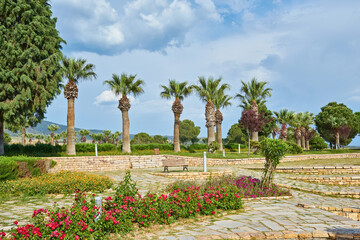 Pamukkale landscape on the background of blooming zinnias