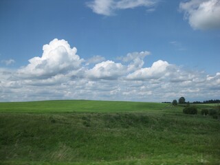 Field on the background of the sky with clouds