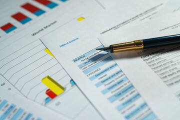 Financial income statement, account balance report analysis.