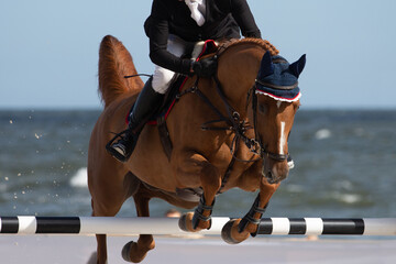 Horse Jumping, Equestrian Sports, Show Jumping themed photo.