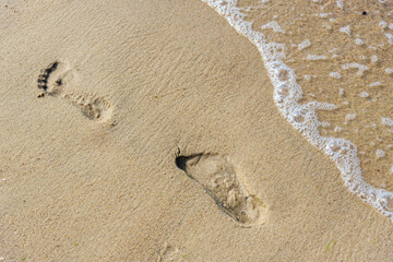 Human footprints are imprinted on a sandy beach.