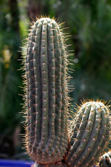 Morocco. Daily life.