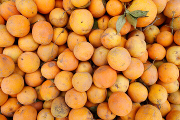 Morocco. Daily life.