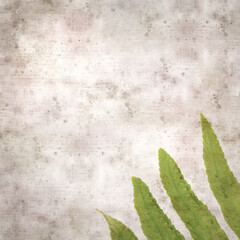 stylish textured old paper square background with fern leaves close up